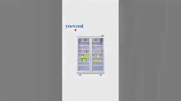 Commercial Preservation Beverage Display Cabinet | TOPCOOLRefrigeration