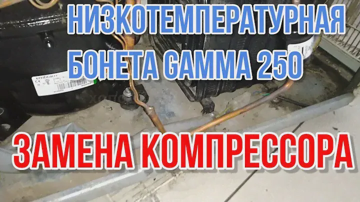 Низкотемпературная  бонета GAMMA 250 NN CA. Замена компрессора