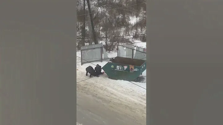 В Новомосковске школьники пытались засунуть одноклассника в мусорный контейнер