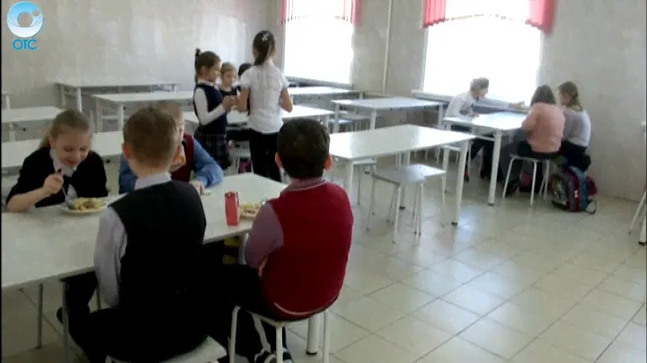 Опечатанный холодильник. Почему экспертов не пускают в школьные столовые для проверки продуктов?