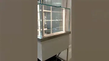 КАЛЛИТРОПСИС -2 КОНДИТЕРСКАЯ ВИТРИНА